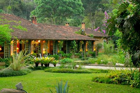 Coluna Rio – Antonia Leite Barbosa