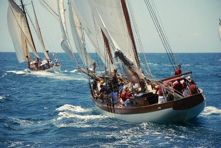 Coluna Rio – Antonia Leite Barbosa