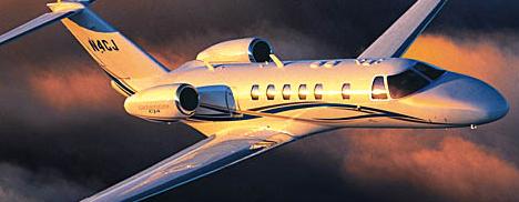 25 jatinhos pousaram em Trancoso. Só hoje!