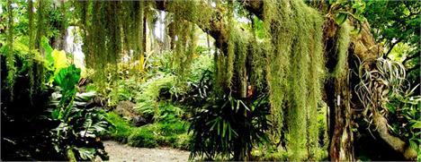 Tem programação especial para as crianças no Shopping Iguatemi