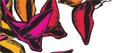 Sabe quem são as melhores clientes de Diane von Furstenberg?