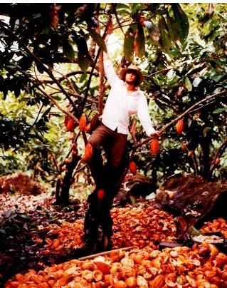 E não é que Diego Badaró vai dar uma aula sobre chocolate aqui em São Paulo? Ele é referência no assunto!