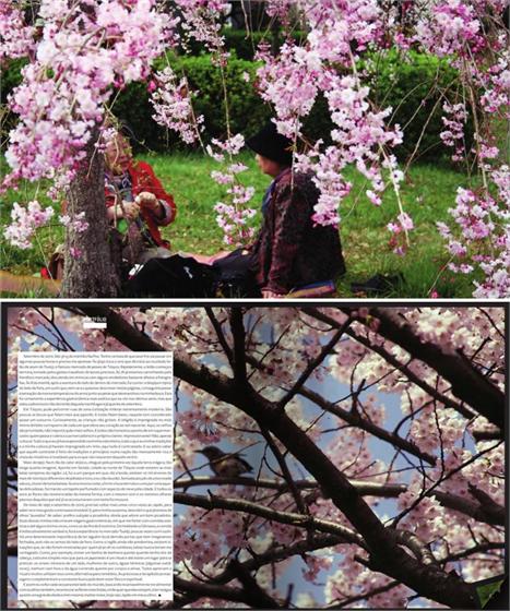 Glamurama bateu um papo com Bianca Cutait e ela não tem boas notícias sobre o terremoto no Japão