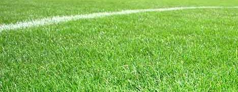 O mundo esportivo está pegando fogo. Glamurama está de olho nessa efervescência!