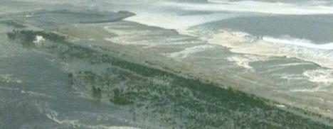 O empresário de Marcelo Camelo, Mallu Magalhães e Mariana Aydar está no Japão