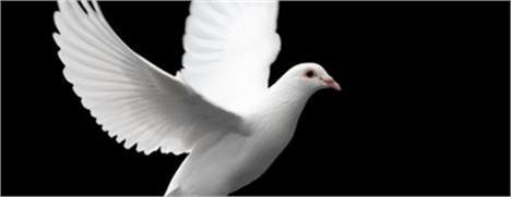 Já tá no ar o TwitTv, uma nova invenção virtual, venha saber como essa engenhoca funciona!