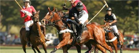 Sabado animado no Helvetia! Vem saber como foi o 1° Torneio de Polo Einstein!