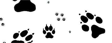 Brigitte Bardot veio nos visitar nesta quinta-feira! Vem entender!