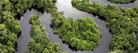 Ricardo e Felipe Leal promovem um bazar superbacana! Ótima pedida para o natal.