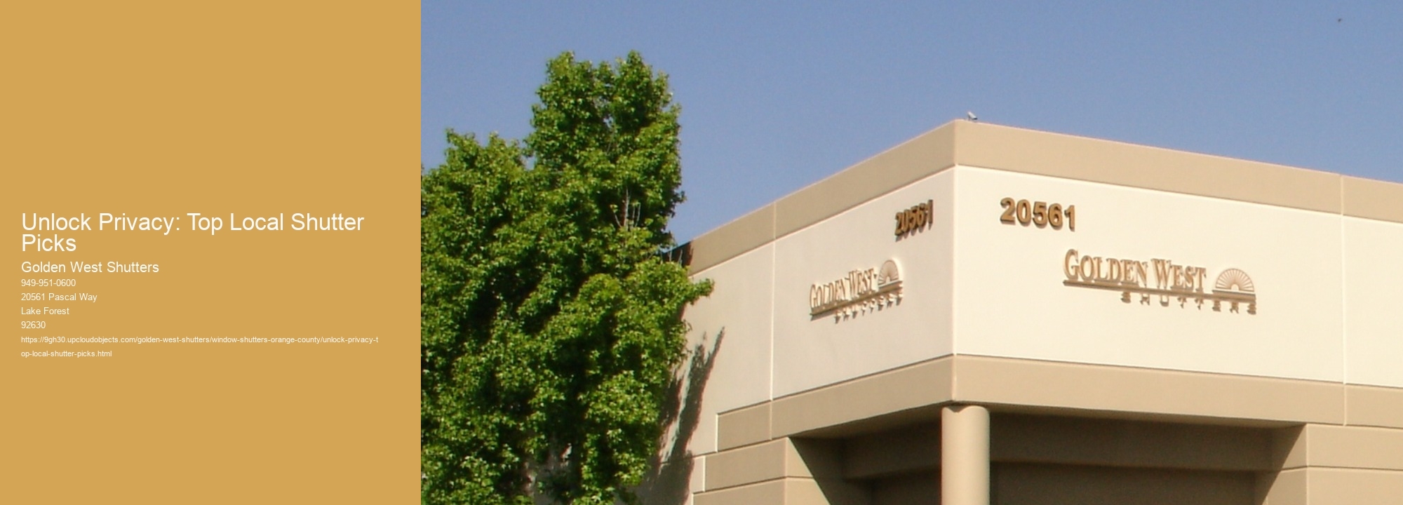 Unlock Privacy: Top Local Shutter Picks