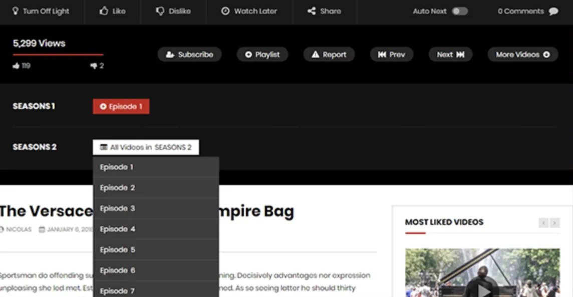 VidoRev – Proven Video WordPress Theme 2 VidoRev