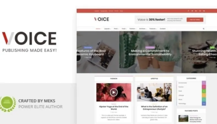 Voice