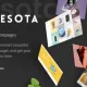 Minnesota – Professional WordPress Theme Proven