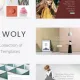 Woly – Multipurpose WordPress Theme Proven