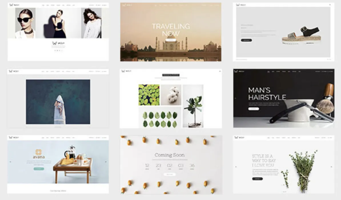 Woly - Multipurpose WordPress Theme Proven 2 Woly