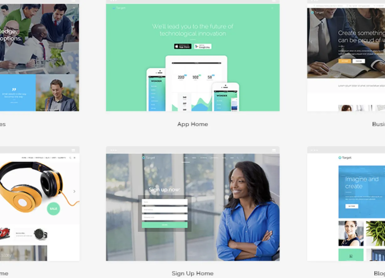 Target – Proven Business WordPress Theme 2 Target