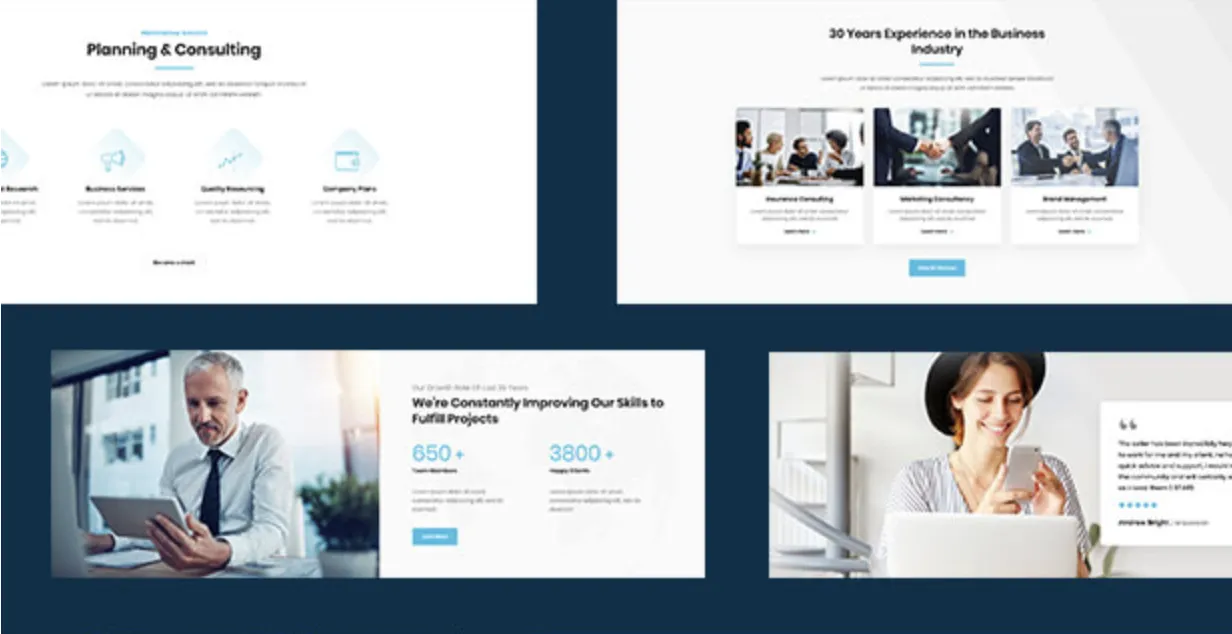 Lumire - Proven Business Consulting WordPress Theme 2 Lumire