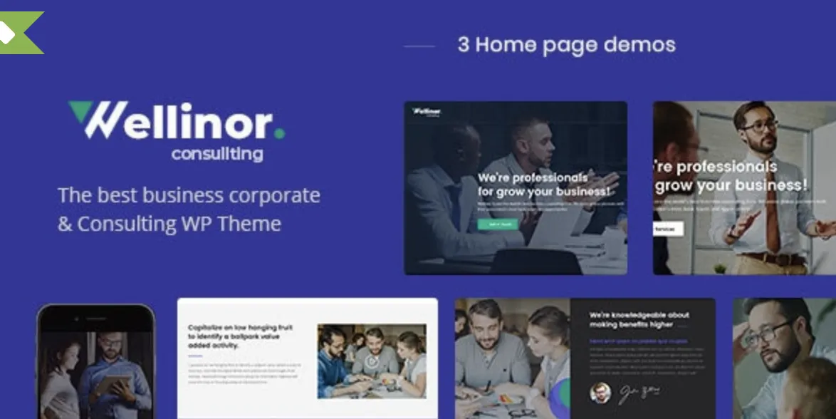Wellinor – Business Consulting WordPress Theme Proven 2 Wellinor
