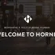 Hornet – Urban Multipurpose Theme Proven