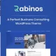 Rabinos – Business Consulting WordPress Theme Proven