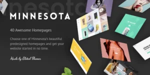Minnesota Theme