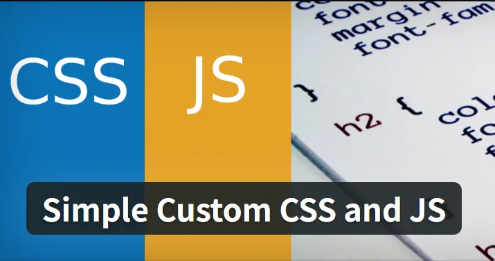 Simple Custom CSS and JS