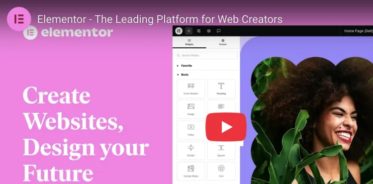 Elementor Website Builder