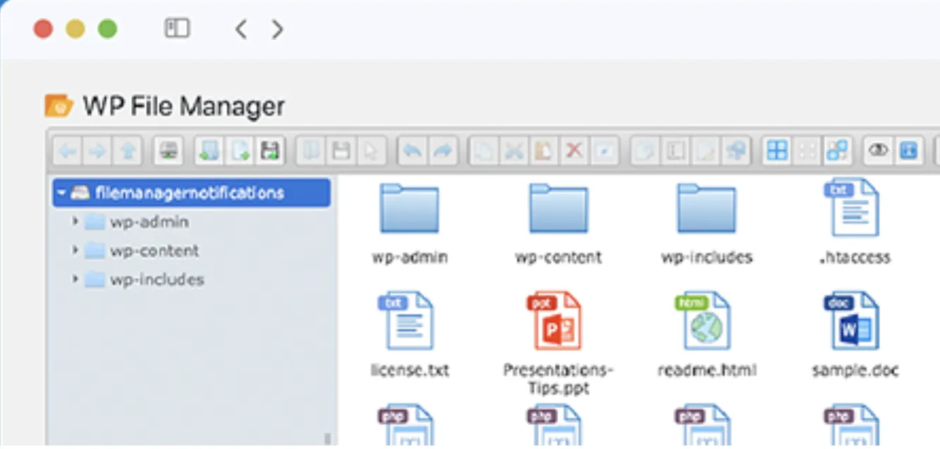 File Manager