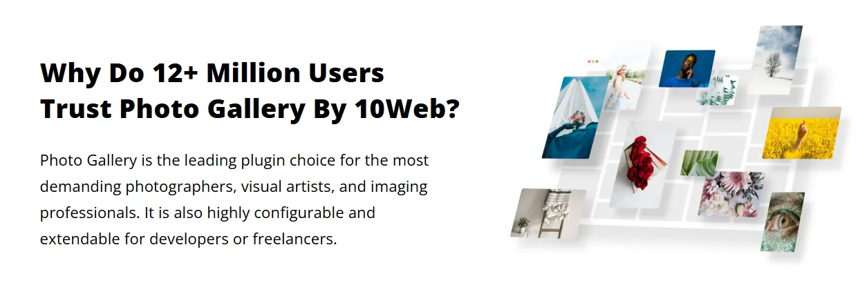 Photo Gallery by 10Web