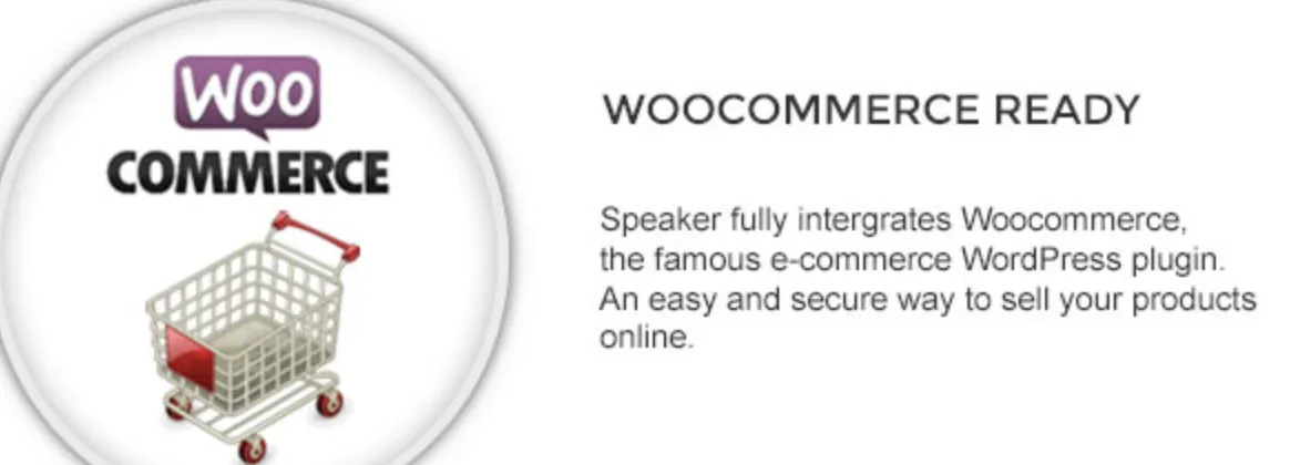 Speaker Pro