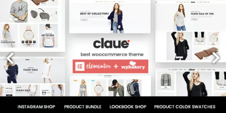 Claue Pro