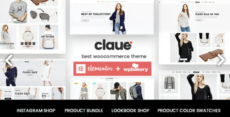 Claue Pro