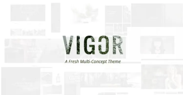 Vigor Pro