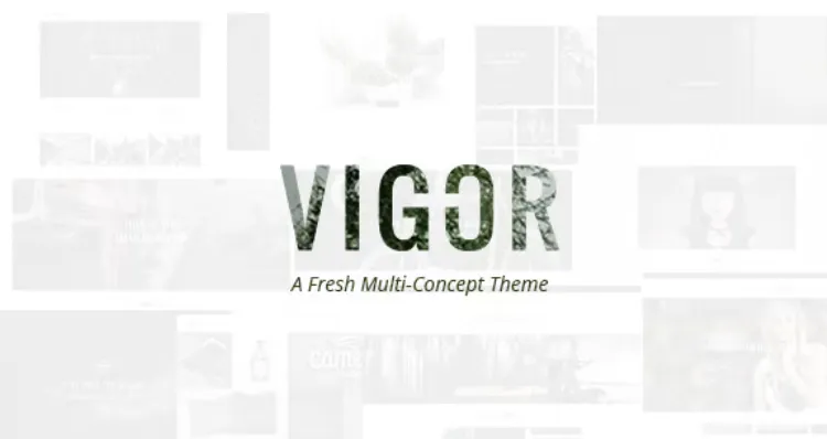 Vigor Pro
