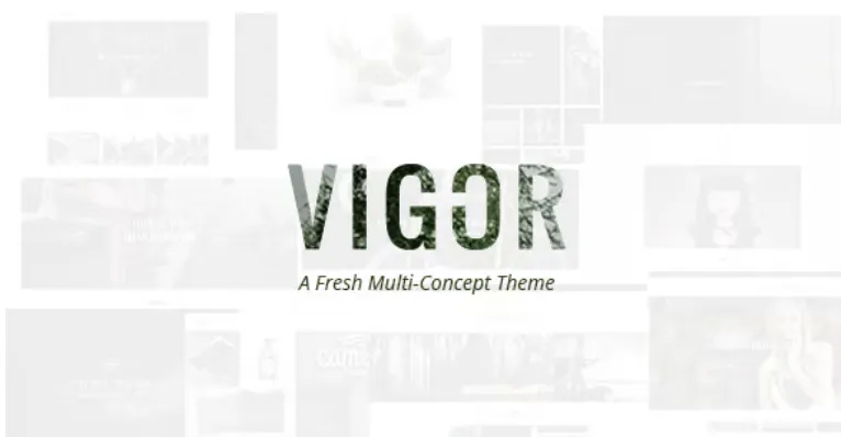 Vigor Pro