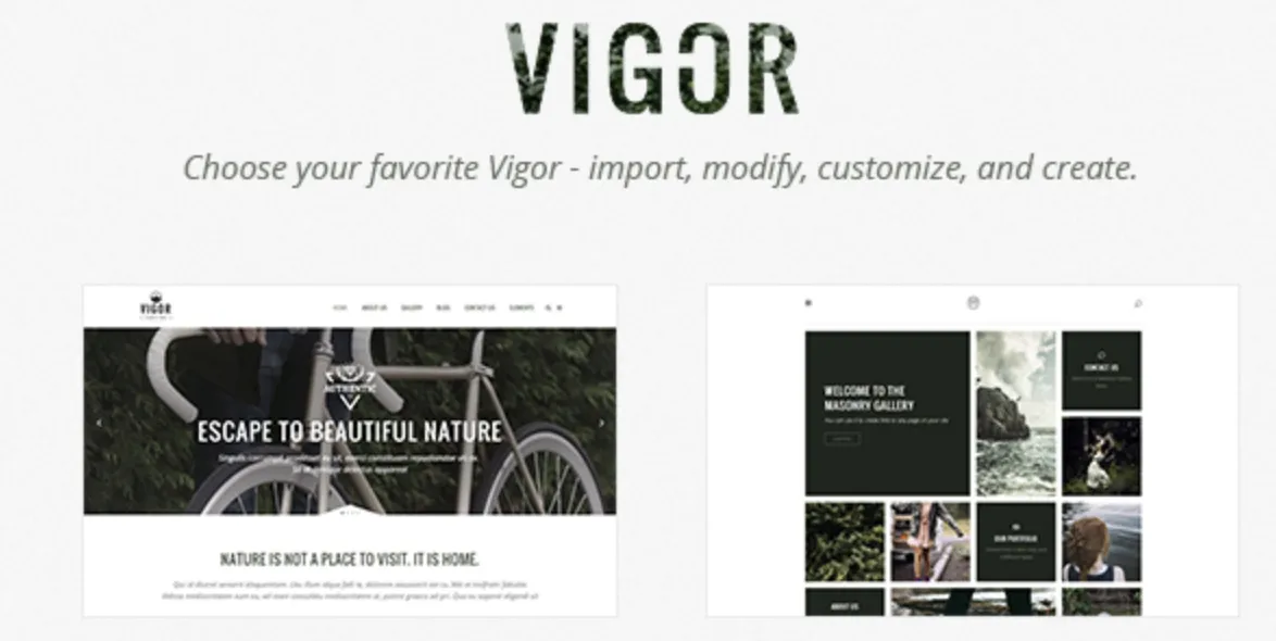 Vigor Pro