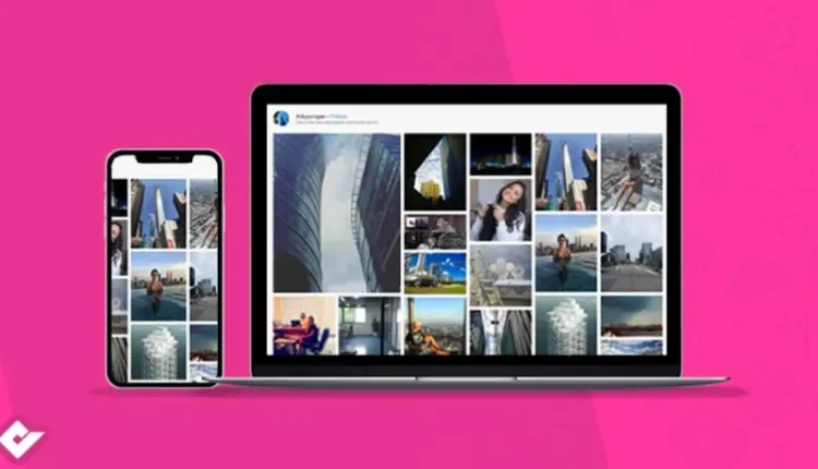 Social Feed Gallery Pro