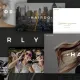 Curly Pro – A Stylish WordPress Theme for Hairdressers and Hair Salons