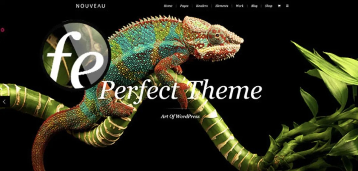 Nouveau Pro - Multipurpose WordPress Theme 6 Nouveau Pro