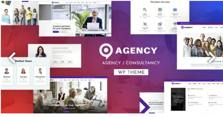 Agency WordPress Theme Pro