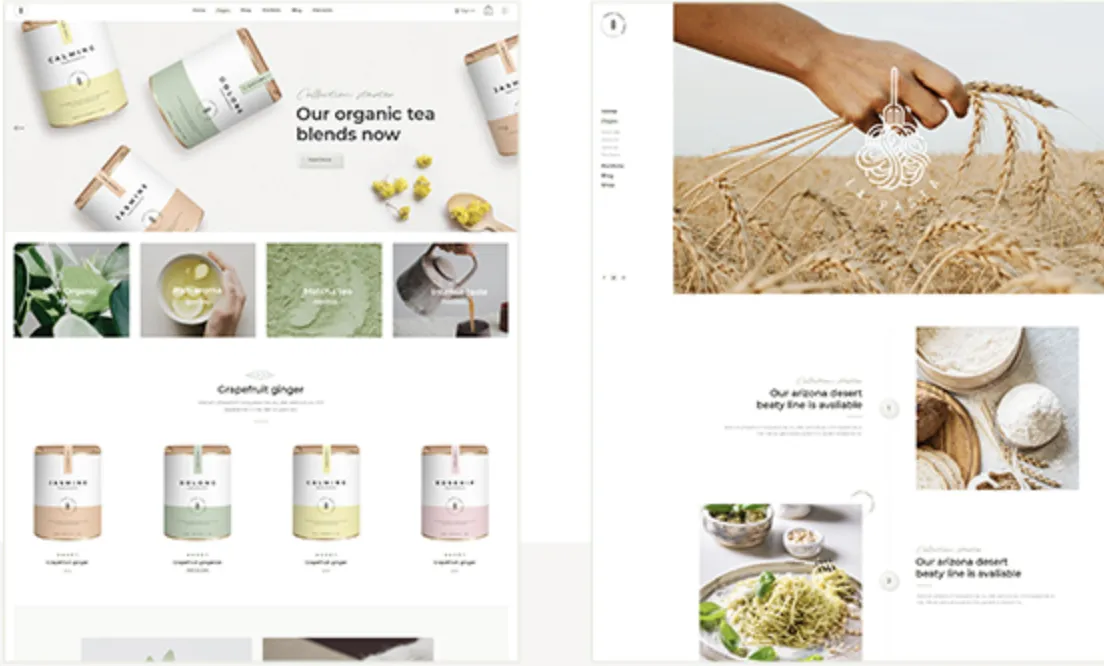 Santé Pro - Organic Shop WordPress Theme 6 Santé Pro