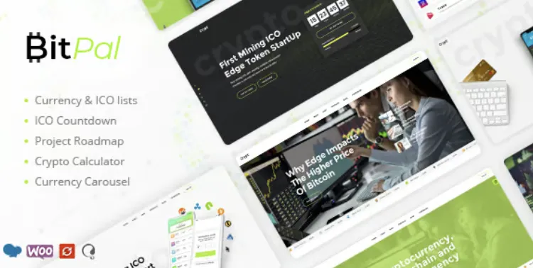 BitPal Pro