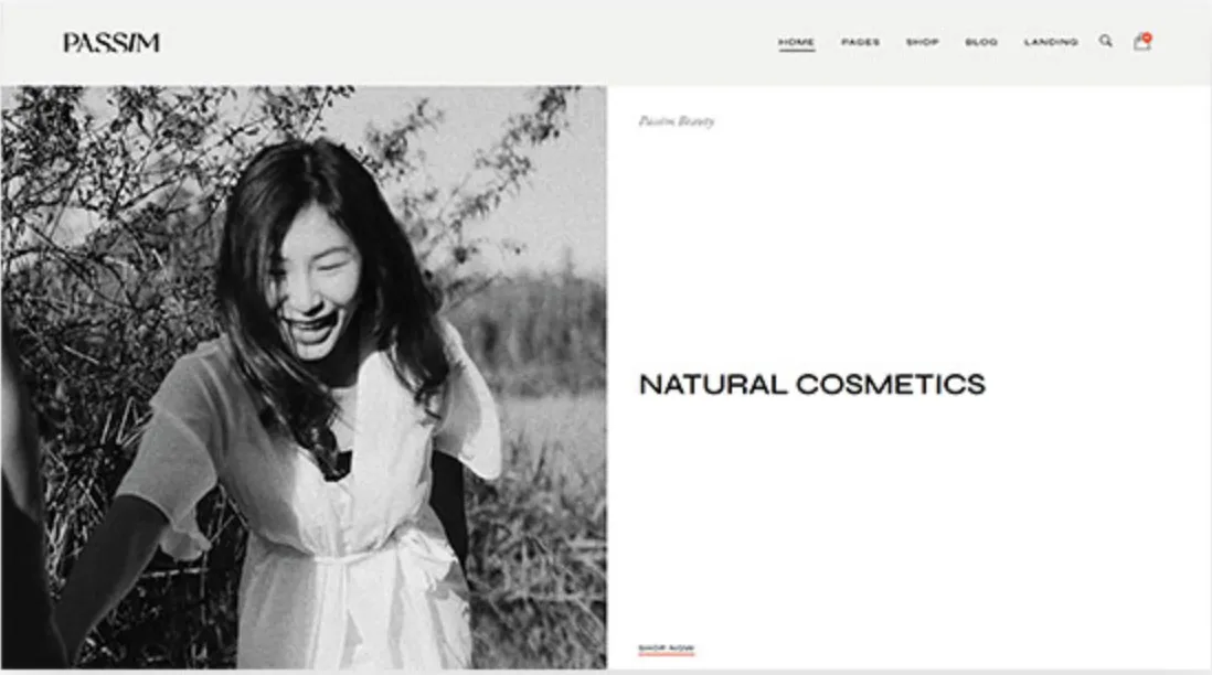 Passim Pro – Beauty and Cosmetics WordPress Theme 6 Passim Pro