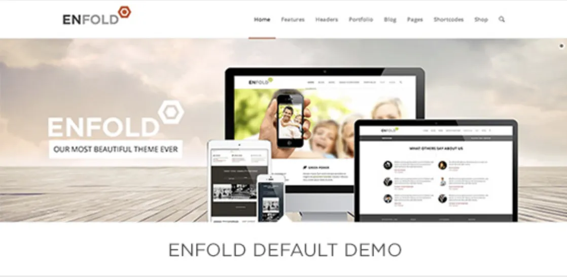 Enfold Pro