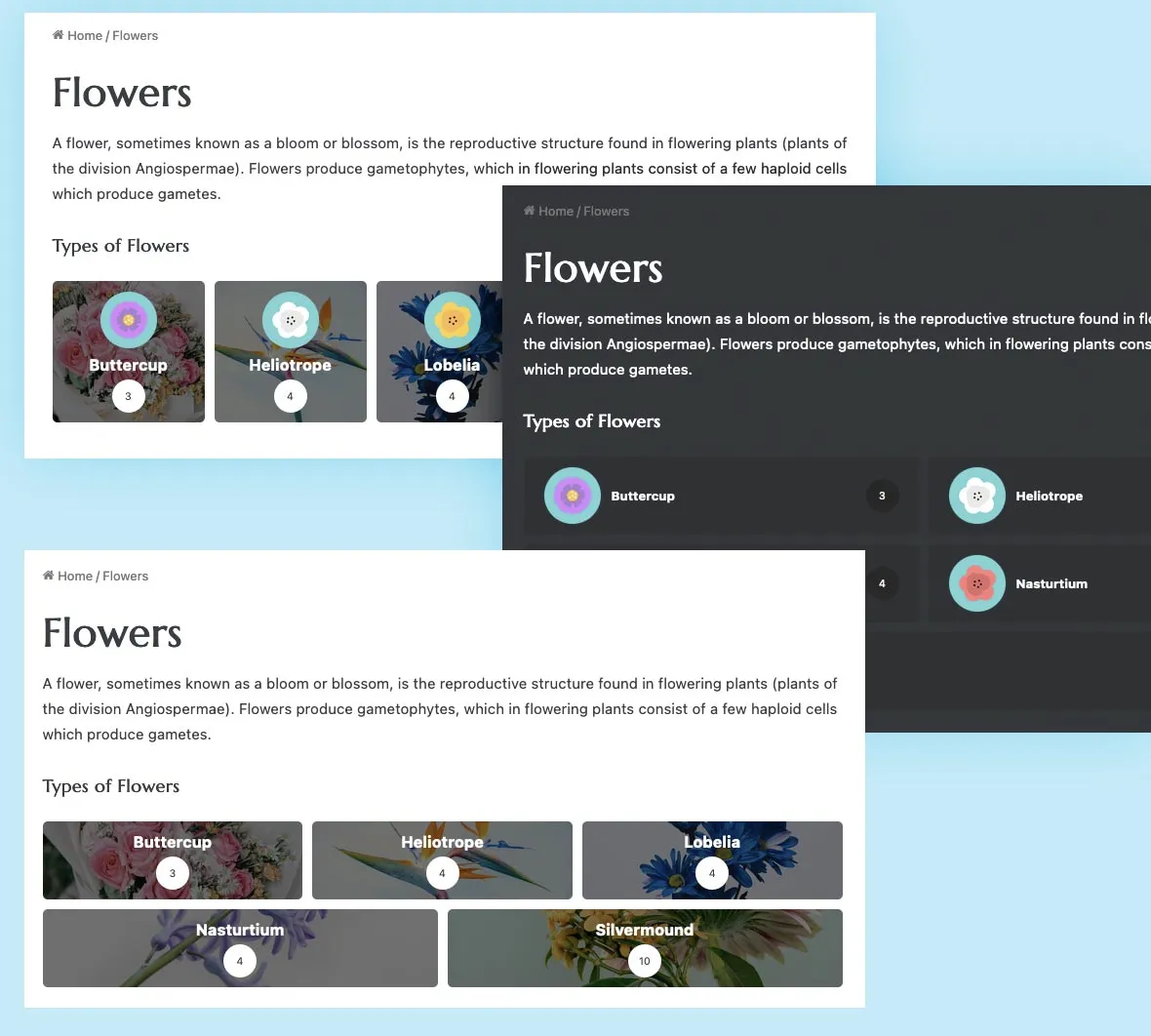 Jannah Pro – Newspaper Magazine News BuddyPress WordPress Theme 6 Jannah Pro