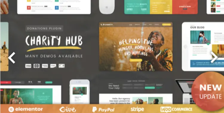Charity Foundation WordPress Pro