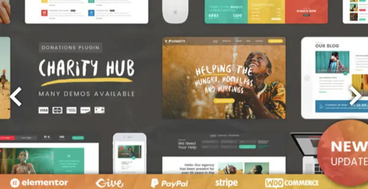Charity Foundation WordPress Pro