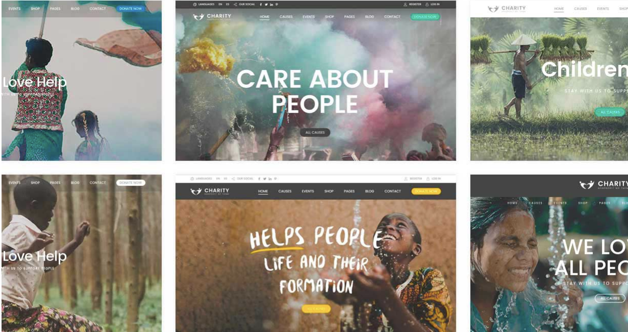 Charity Foundation WordPress Pro