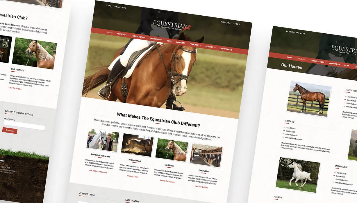 Equestrian Pro