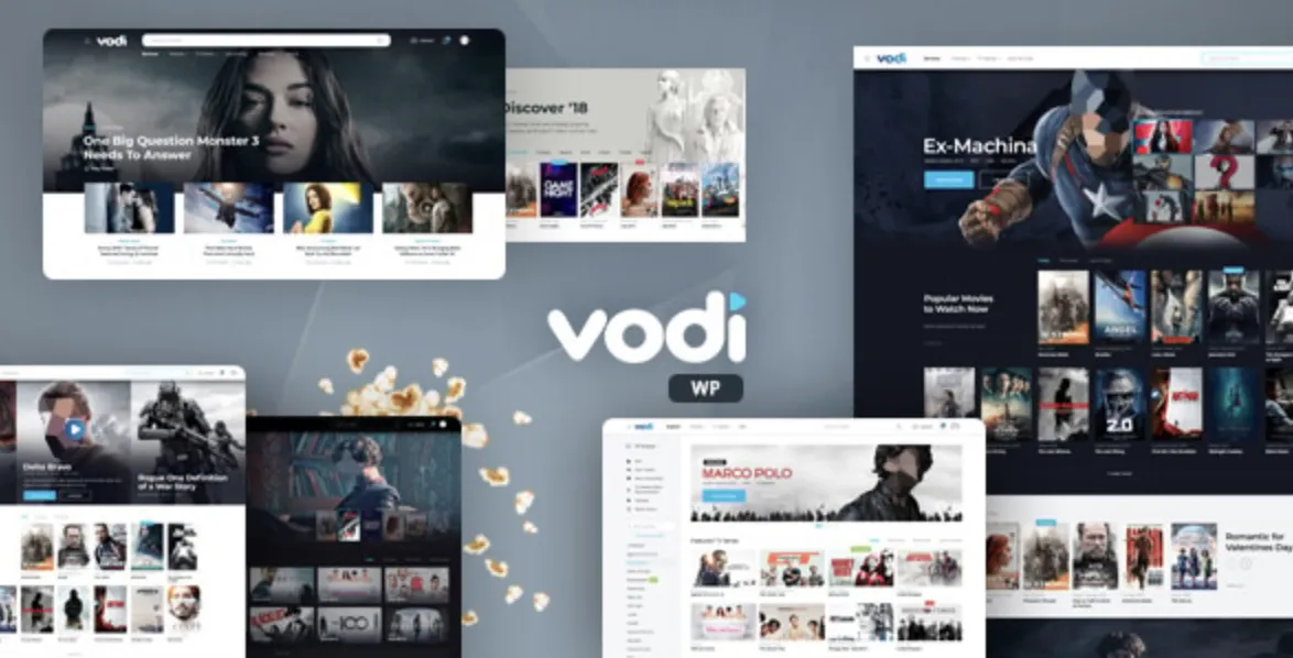Vodi Pro – Video WordPress Theme for Movies & TV Shows 2 Vodi Pro